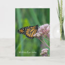 Buscar mantequilla tarjetas General y unisex