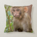 Buscar templos cojines India