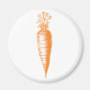 Buscar zanahorias imanes Naranja