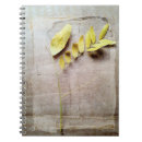 Buscar herbario cuadernos Hierbas