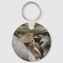 Buscar sapo llaveros Ranas