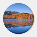Buscar adirondack imanes Bosque