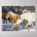 Buscar manada de caballos posters Granja