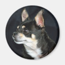 Buscar purebreed Lindo