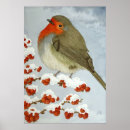 Buscar petirrojo posters Nieve