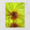 Buscar avispa tarjetas Abeja