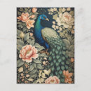 Buscar pavo real hermoso postales Para ella