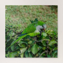 Buscar loro puzzles Naturaleza