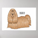 Buscar lhasa apso arte Shih tzu
