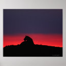 Buscar panthera leo posters Kenia