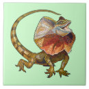 Buscar lagarto azulejos Animal
