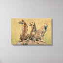 Buscar leopardo manchado posters Felino