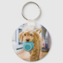 Buscar el goldendoodle llaveros Animal