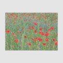 Buscar amapolas rojas papel de seda Verano