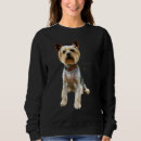 Buscar yorkshire sudaderas Yorkie