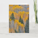 Buscar arboleda tarjetas Bosque