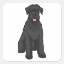 Buscar schnauzer gigante pegatinas Amante del perro