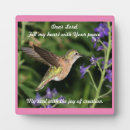 Buscar colibríes placas fotograbadas Hermoso