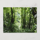 Buscar paisaje con lluvia postales General y unisex