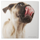 Buscar longitud del tres cuartos azulejos Naturaleza