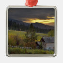 Buscar troncos adornos Cabaña