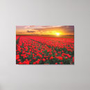 Buscar holanda lienzos Primavera