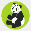 Buscar pandas gigantes pegatinas Lindo