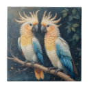 Buscar pájaro del mascota azulejos Vida silvestre