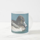 Buscar pato azul tazas Aves acuáticas