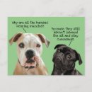 Buscar puño negro postales Perros