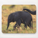 Buscar tronco alfombrillas de raton Al aire libre