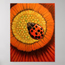 Buscar ladybeetle Flor