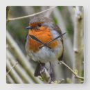 Buscar robin relojes de pared Ladrón