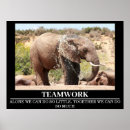 Buscar motivación fotografía Fotografía de la naturaleza