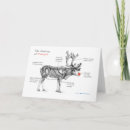 Buscar anatomía tarjetas 8 º tarjeta