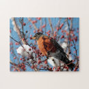 Buscar petirrojo puzzles Naturaleza