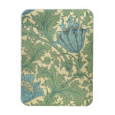 Buscar papel imanes William