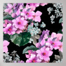 Buscar fondo posters Flores