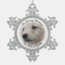 Buscar mascota memoriales adornos Pérdida