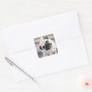 Buscar pug etiquetas Tierno