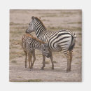 Buscar kenya imanes Naturaleza