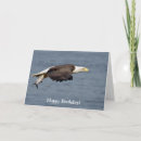 Buscar aves rapaces tarjetas Rapaz