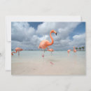Buscar aruba tarjetas Mar caribeño