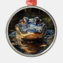 Buscar cute adornos Para todos