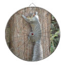 Buscar ardillas dianas Animales