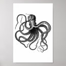 Buscar el kraken posters Ilustracion