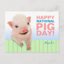 Buscar cerdo feliz postales General y unisex