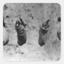 Buscar patitos pegatinas Animal