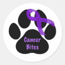 Buscar páncreas pegatinas Morado