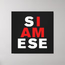 Buscar gato siamés lienzos Divertido